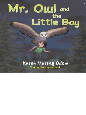 cover image of Mr. Owl and the Little Boy